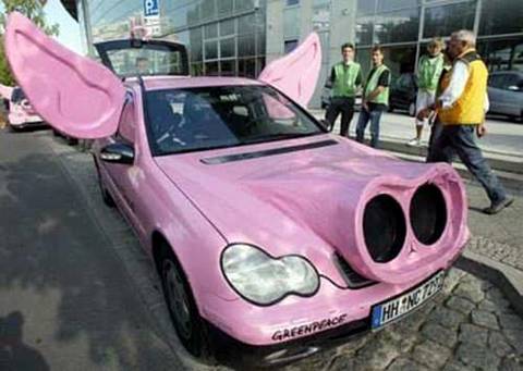pig car
