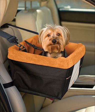 How to Stay Safe While Driving with a Dog - eBay Motors Blog