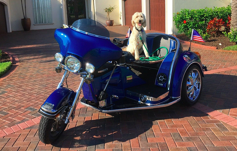 What do you get when you combine a 2006 Harley and a 1973 VW Beetle?