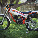 Is This Immaculate Honda TLR200 Too Nice to Ride?